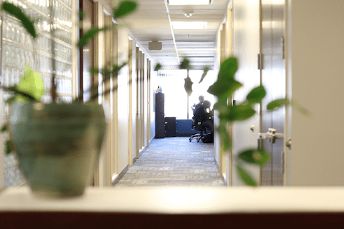 photo of office hallway with plants in the foreground