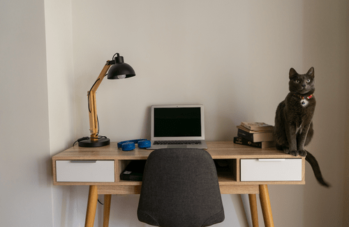 Home office desk with lamp, laptop computer and grey cat