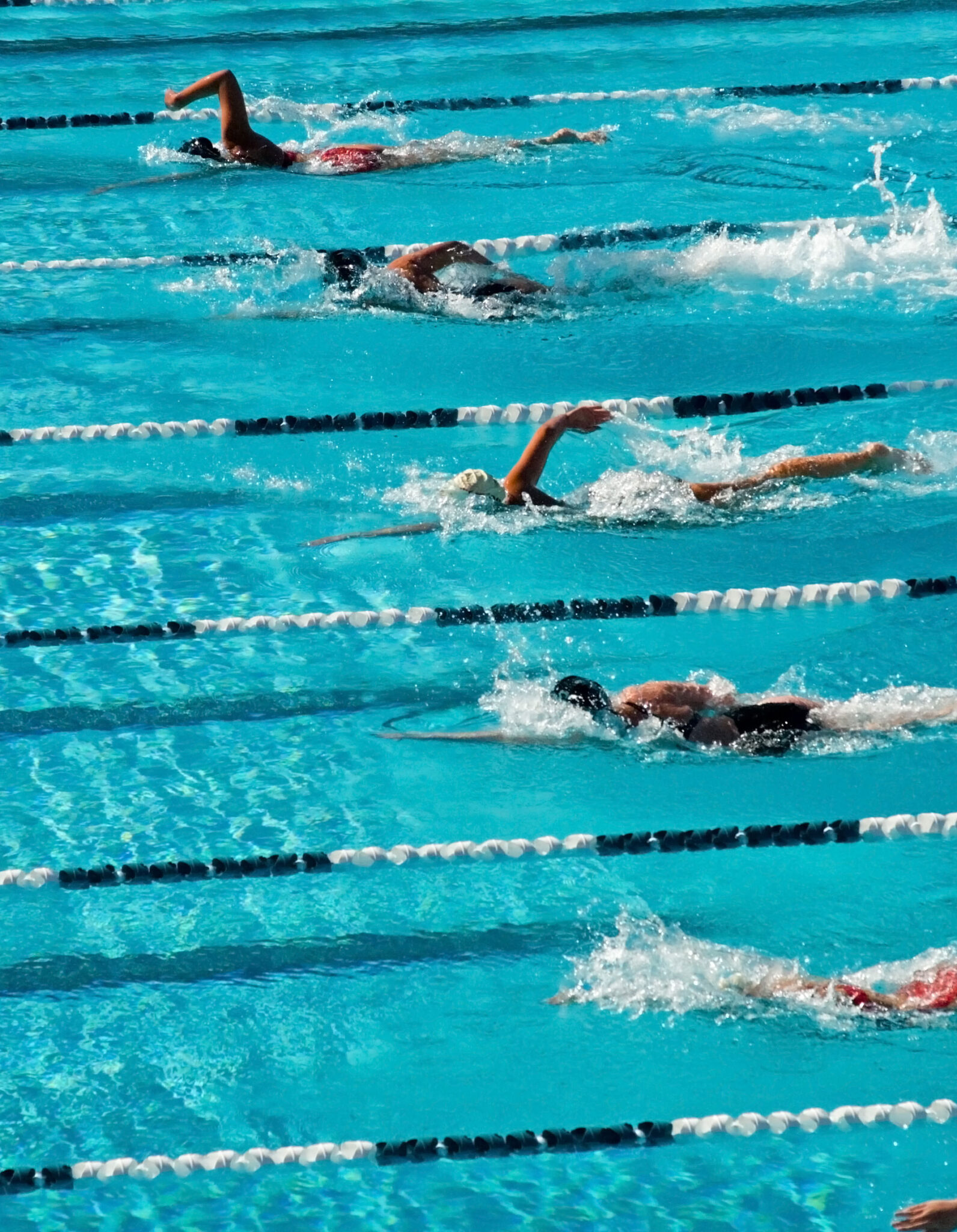 5 swimmers compete in freestyle race